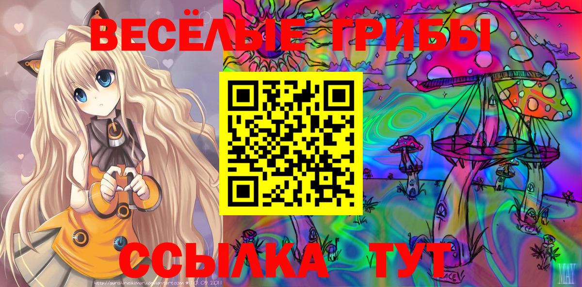 Вологда  Галлюциногенные грибы мухоморы  Вход с VPN 